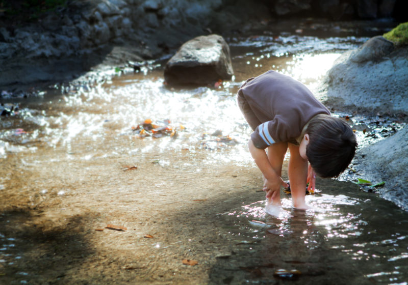 A small child playing in a river.